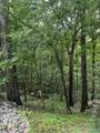 1727 Chestnut Mountain Road - Photo 31