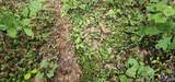3 +/- Acres County Road 106 - Photo 19