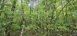 3 +/- Acres County Road 106 - Photo 21