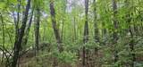 3 +/- Acres County Road 106 - Photo 22
