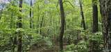 3 +/- Acres County Road 106 - Photo 26
