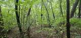 3 +/- Acres County Road 106 - Photo 28
