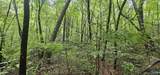 3 +/- Acres County Road 106 - Photo 29