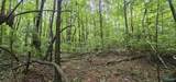 3 +/- Acres County Road 106 - Photo 31
