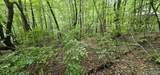 3 +/- Acres County Road 106 - Photo 34