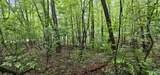 3 +/- Acres County Road 106 - Photo 38