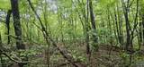 3 +/- Acres County Road 106 - Photo 39