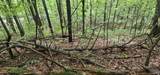 3 +/- Acres County Road 106 - Photo 40