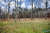 55 Trail Loop Road - Photo 9