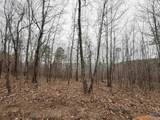 80 Acres Bella Vista Drive - Photo 1