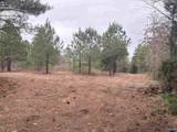 80 Acres Bella Vista Drive - Photo 10