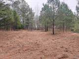 80 Acres Bella Vista Drive - Photo 11