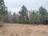 80 Acres Bella Vista Drive - Photo 12