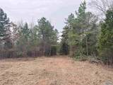 80 Acres Bella Vista Drive - Photo 13
