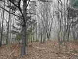 80 Acres Bella Vista Drive - Photo 14