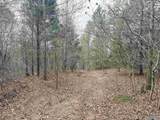 80 Acres Bella Vista Drive - Photo 15