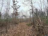 80 Acres Bella Vista Drive - Photo 17