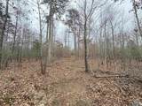 80 Acres Bella Vista Drive - Photo 18