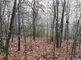 80 Acres Bella Vista Drive - Photo 2