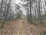 80 Acres Bella Vista Drive - Photo 3