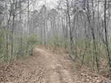 80 Acres Bella Vista Drive - Photo 4