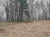 80 Acres Bella Vista Drive - Photo 6