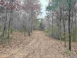 80 Acres Bella Vista Drive - Photo 7