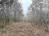 80 Acres Bella Vista Drive - Photo 8