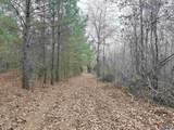 80 Acres Bella Vista Drive - Photo 9