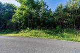 14 Acres Wills Creek Road - Photo 4
