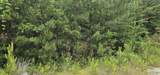 3.3+/- Acres--0 County Road 27 - Photo 42