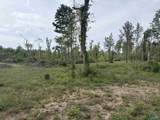 Lot 2 Hwy 40 - Photo 3