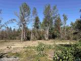 Lot 2 Hwy 40 - Photo 6