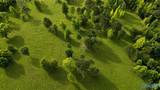 58 Acres Naples Lane - Photo 15