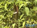 5.21 Sims Road - Photo 18