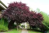 712 Upper Hurricane Road - Photo 24