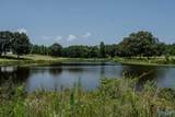 315 County Road 250 - Photo 5