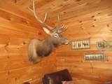 1664 County Road 119 - Photo 28