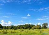 53 acres Ervin Patterson Road - Photo 1