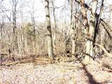 22.4 ACRES County Road 9 - Photo 18