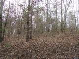 74.5 ACRES County Road 9 - Photo 15