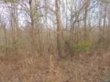 74.5 ACRES County Road 9 - Photo 17