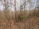 74.5 ACRES County Road 9 - Photo 18