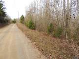 74.5 ACRES County Road 9 - Photo 19