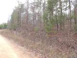 74.5 ACRES County Road 9 - Photo 21