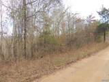 74.5 ACRES County Road 9 - Photo 22