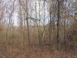 74.5 ACRES County Road 9 - Photo 23