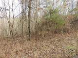 74.5 ACRES County Road 9 - Photo 25