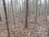74.5 ACRES County Road 9 - Photo 27