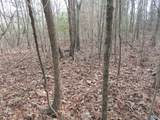 74.5 ACRES County Road 9 - Photo 28